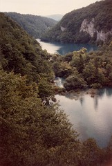 33.jpg  33